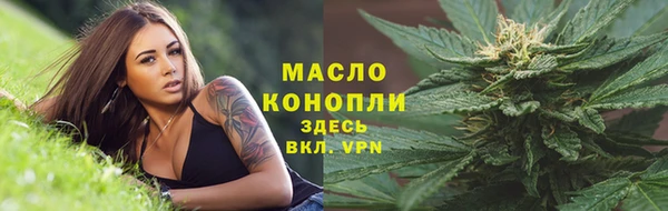 дмт Армянск