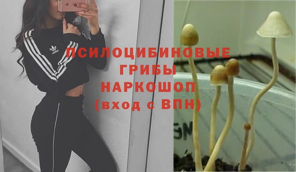 кокаин премиум Арсеньев