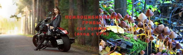 дмт Армянск